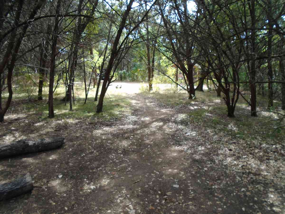 Hike-in Primitive Campsite #7 is across from the primitive toilets. 
