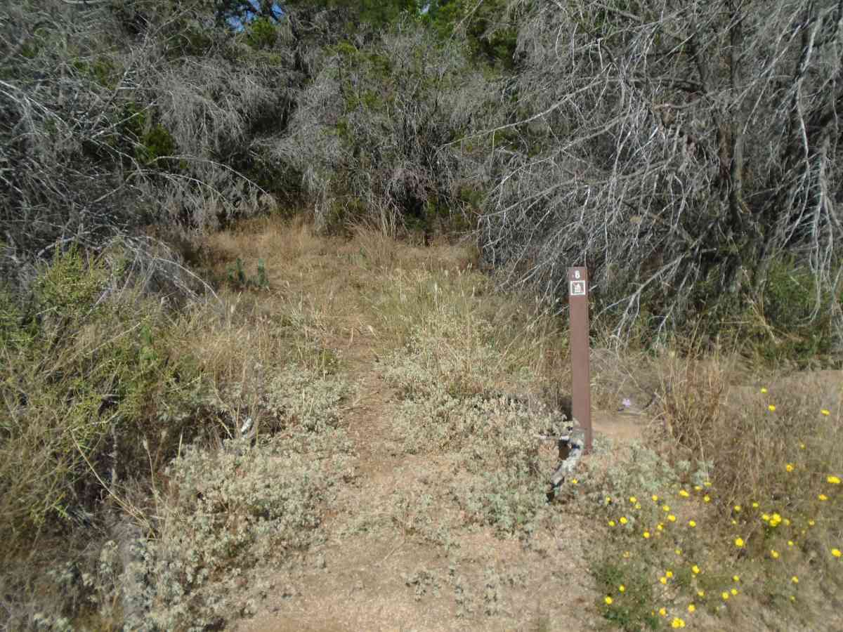 Hike-in Primitive Campsite #8.
