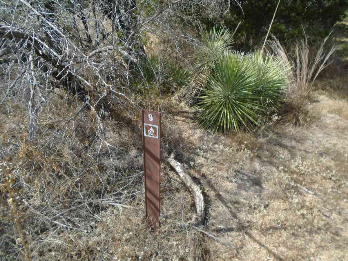 Hike-in Primitive Campsite #9.