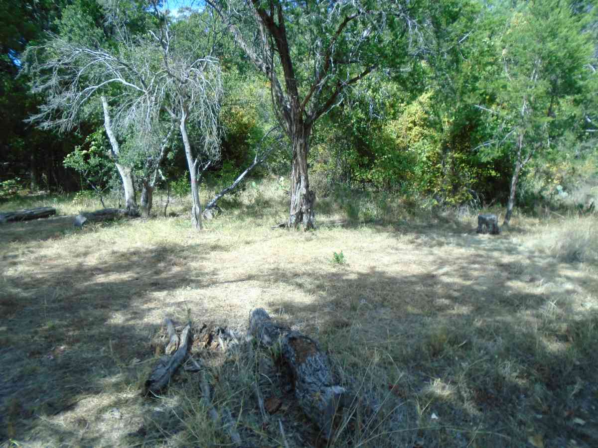 Hike-in Primitive Campsite #9.