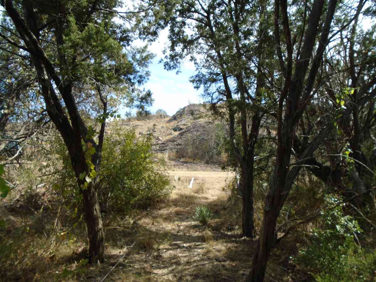 Hike-in Primitive Campsite #9.