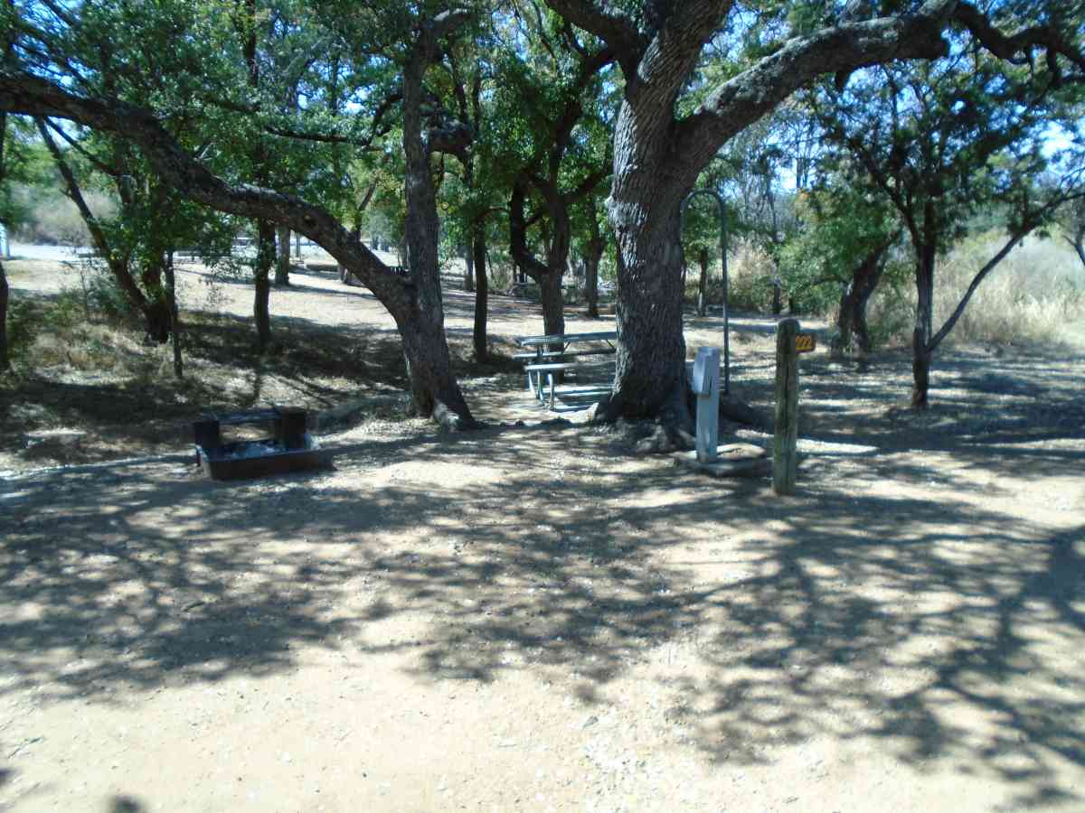 Walk-in Campsite #222. 