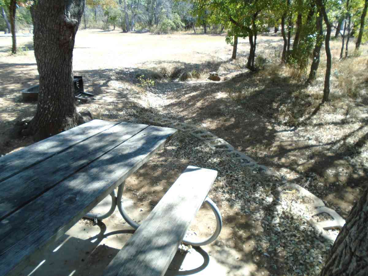 Walk-in Campsite #222. 