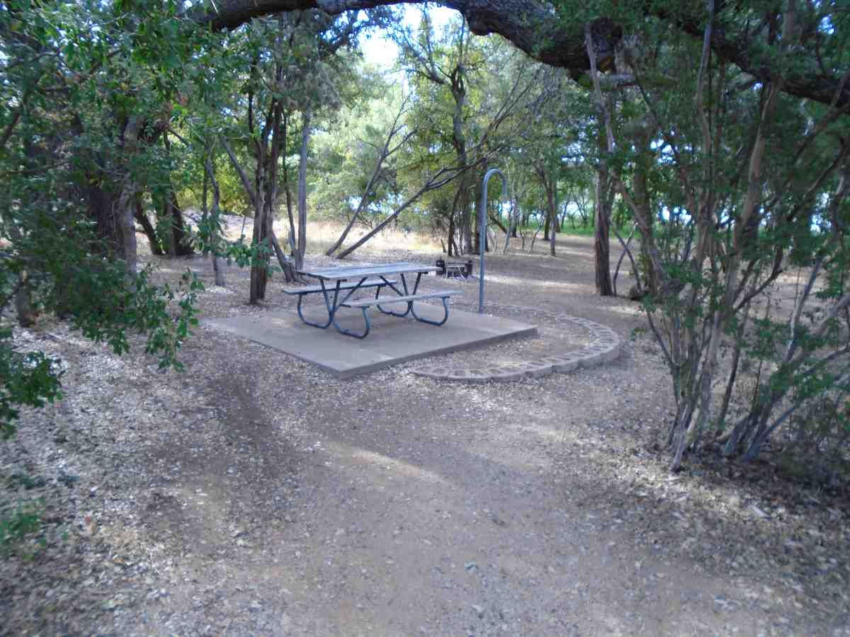 Campsite with Water #317. 