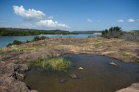 Vernal pool overlooking lake.