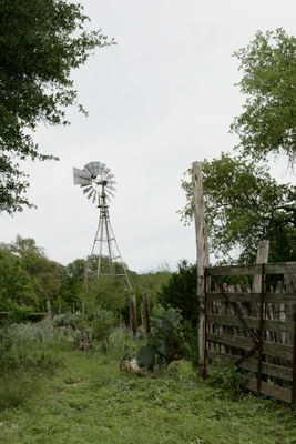 windmill and overgrown corral fence