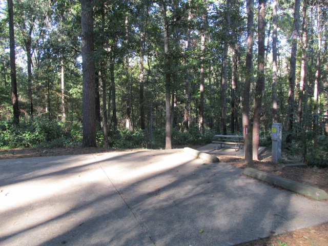 Site #42 in the Cherokee Trace Camping Area