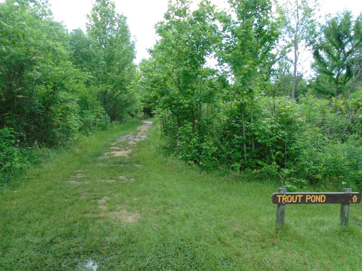 On the trail to the hike-in primitive campsites. 