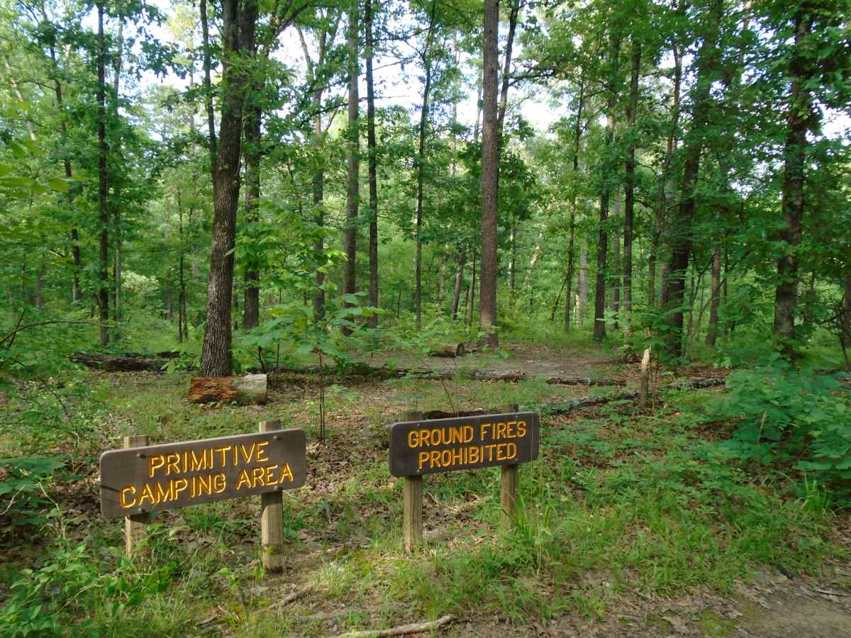 The designated primitive camping area.  