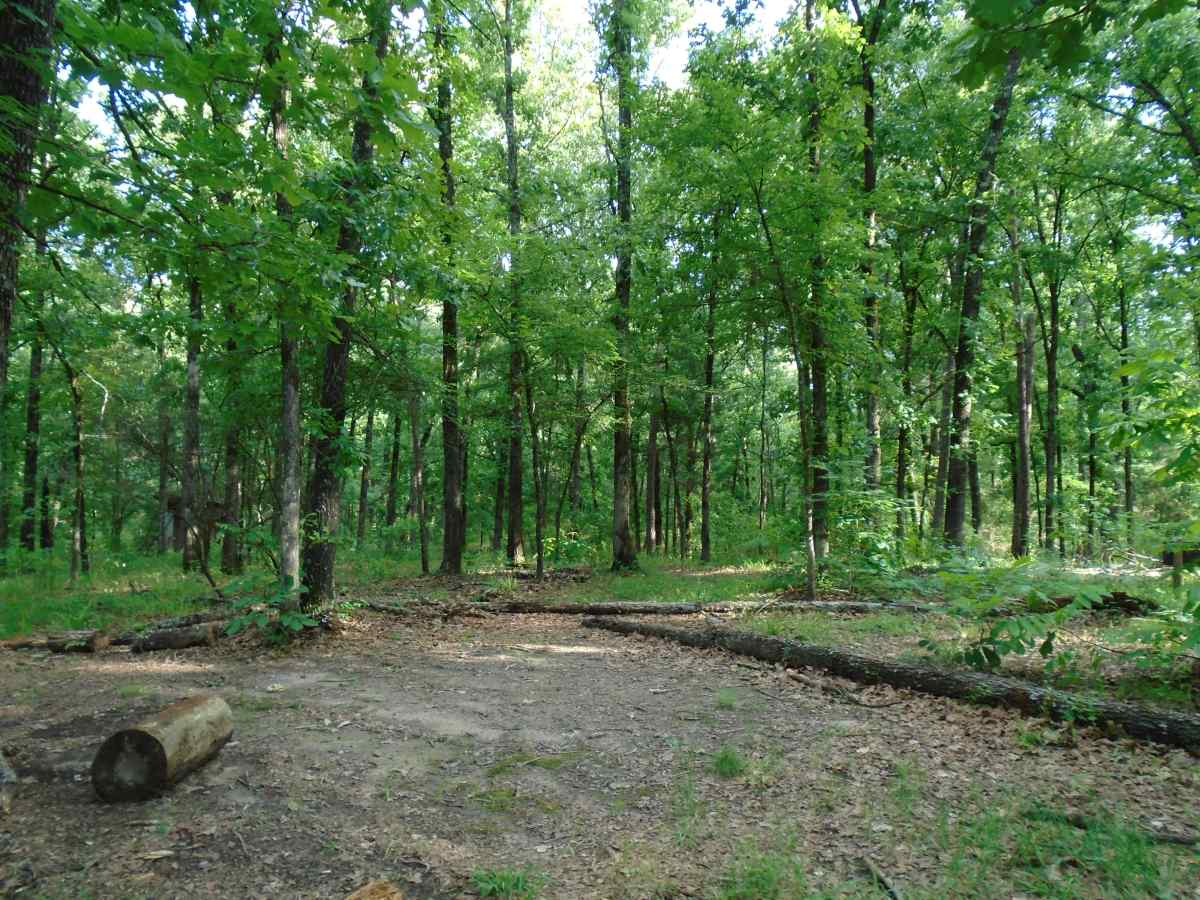 The hike-in primitive camp area. 