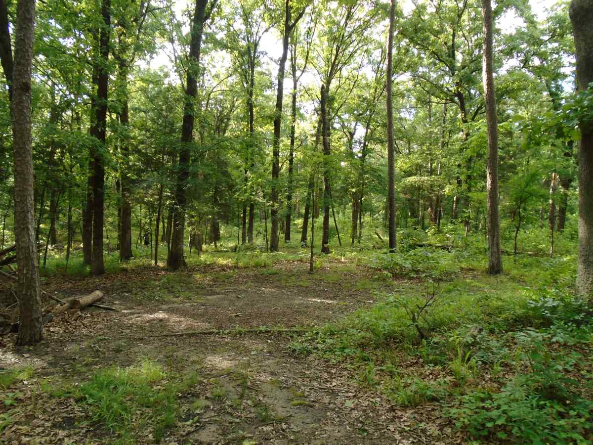 The hike-in primitive camping area. 