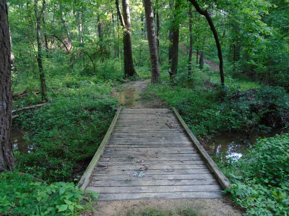 The trail to the hike-in primitive camping area. 