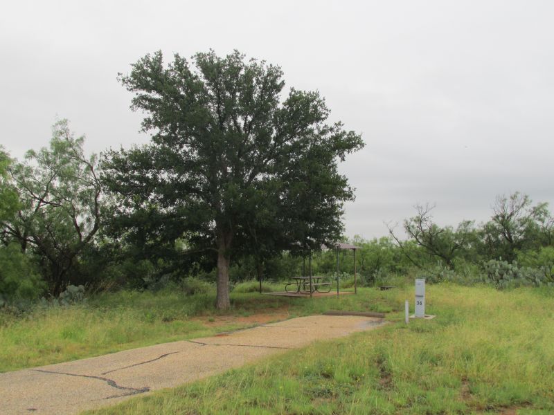Campsite #36, Rolling Hills area