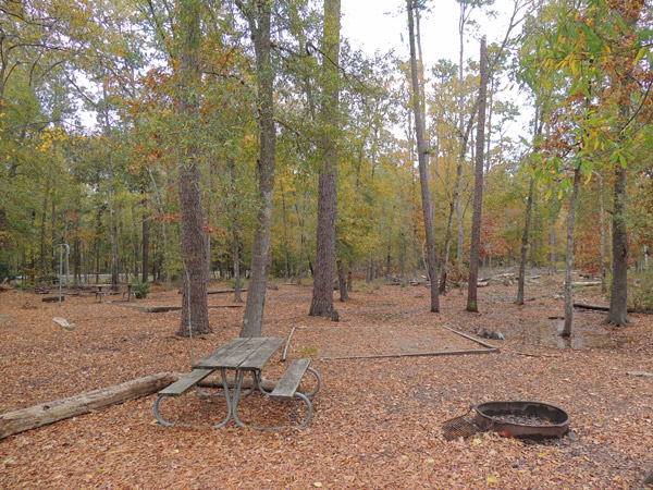 A typical campsite in Briar Loop.