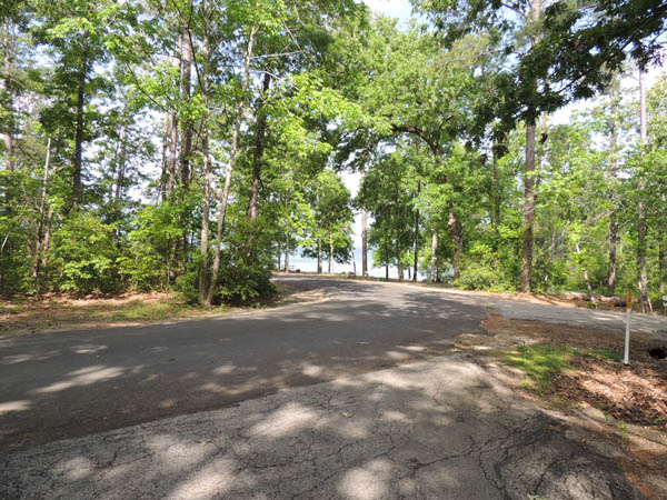 The view from Piney Shores #50