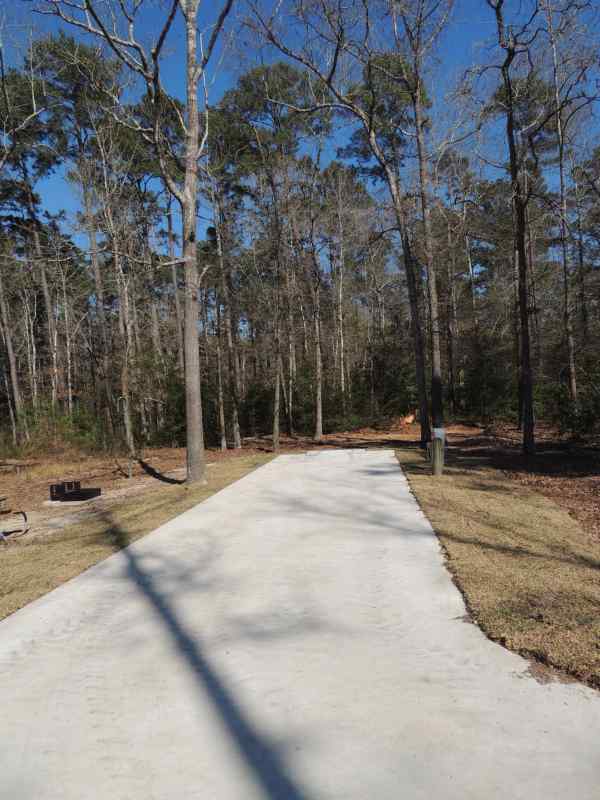 Piney Shores #51