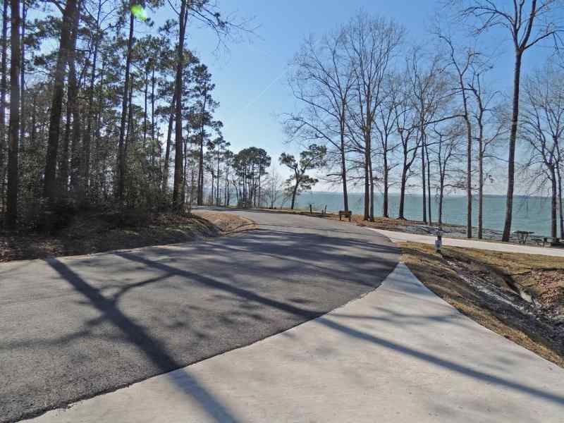 The view from Piney Shores #51