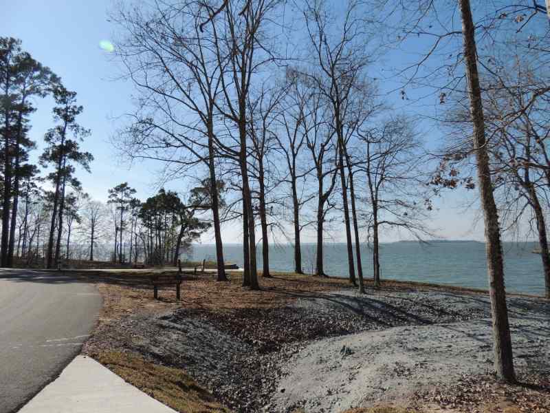 The view from Piney Shores #52