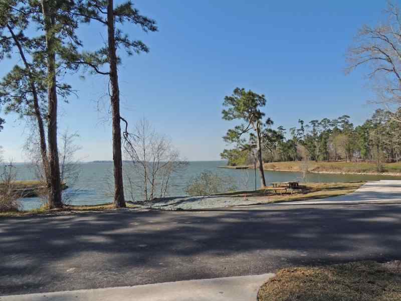 The view from Piney Shores #54