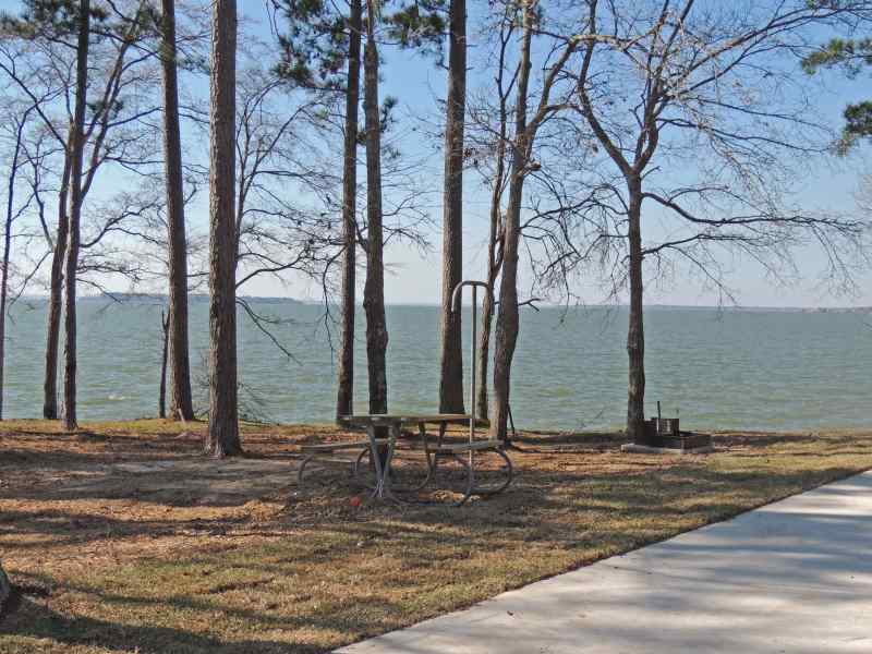 The view from Piney Shores #59