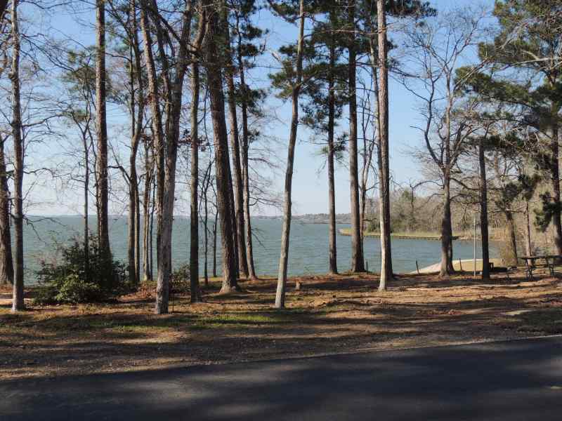 The view from Piney Shores #60