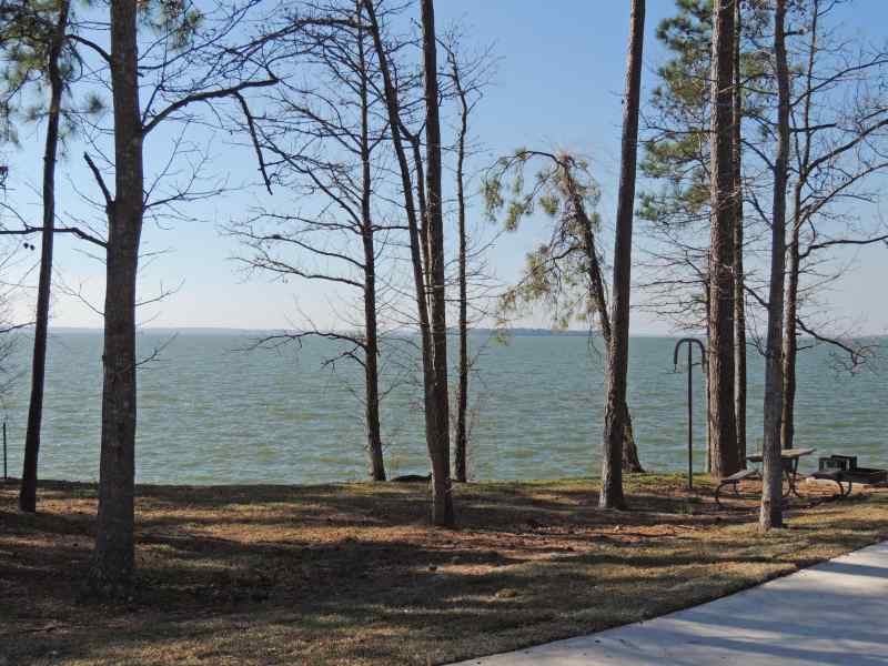 The view from Piney Shores #61