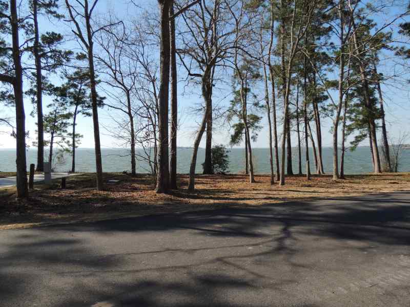 The view from Piney Shores #63
