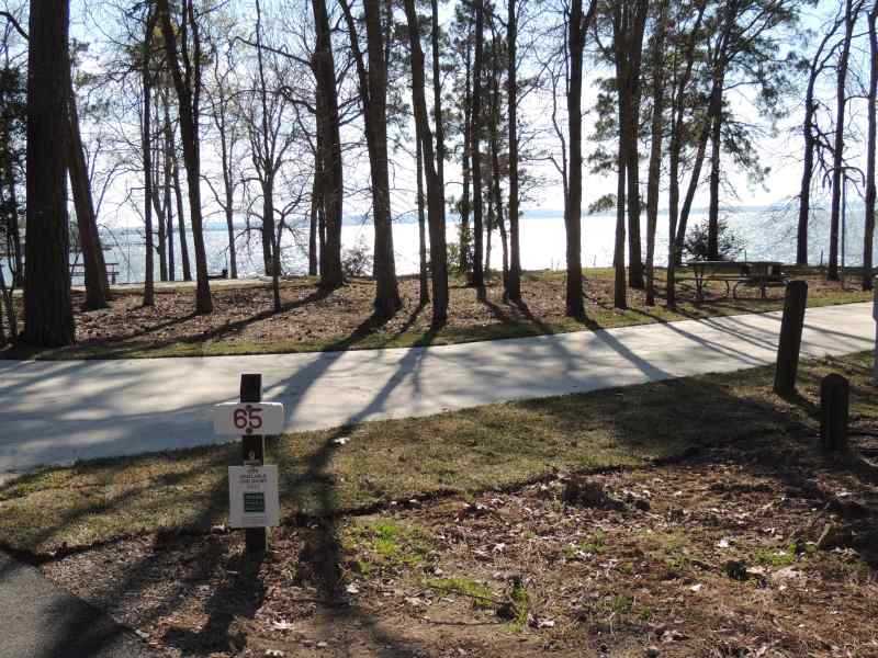 Piney Shores #65
