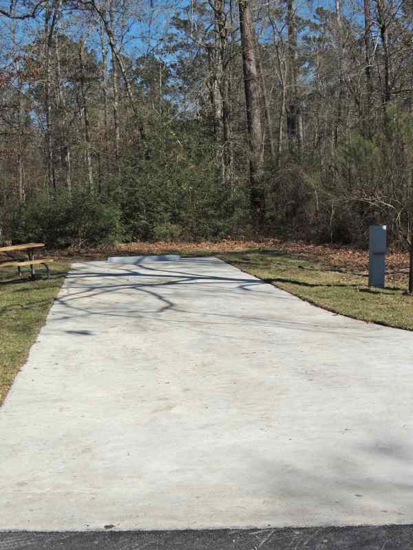 Piney Shores #66