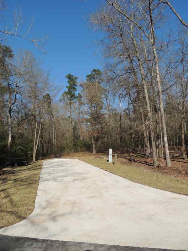 Piney Shores #69