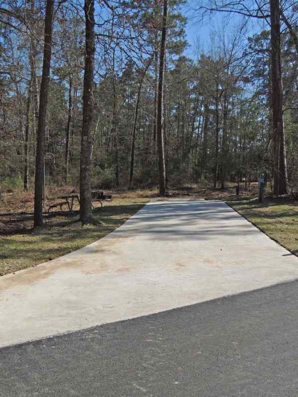 Red Oak Loop Site #41