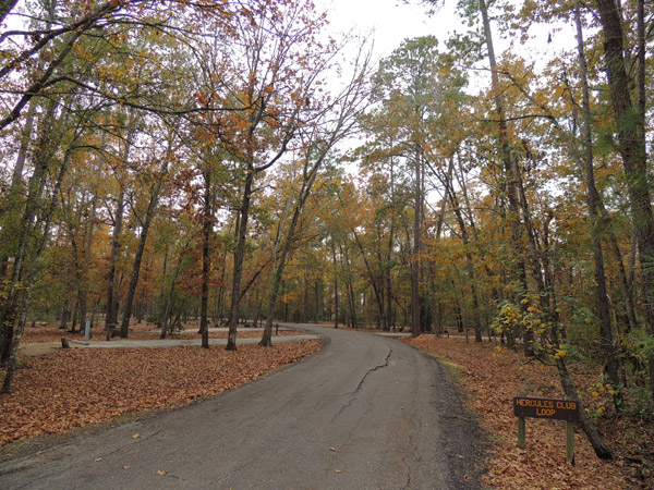 The Hercules Club Loop.