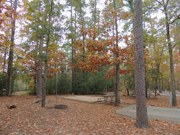 A typical campsite in the Hercules Club Loop. 