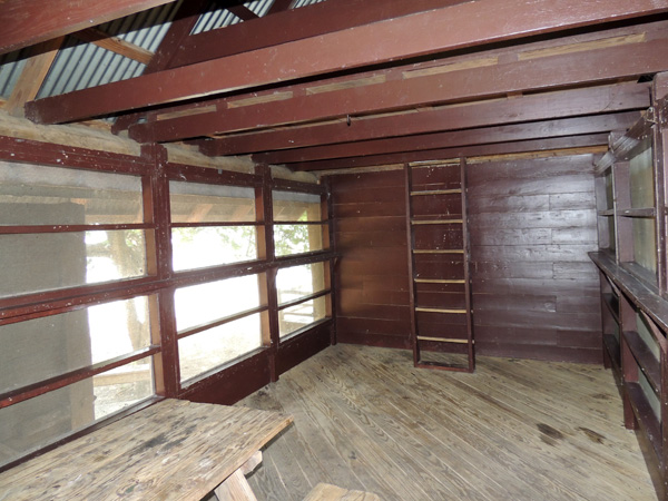 View of the inside (back) of a Screened Shelter, and the ladder to the loft.