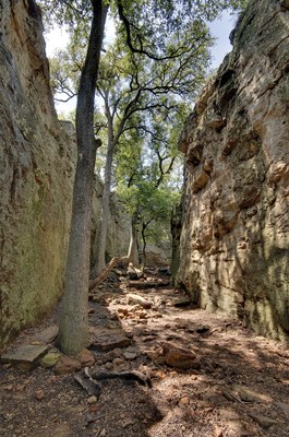Penitentiary Hollow - narrow opening between two rock cliffs with trees between.