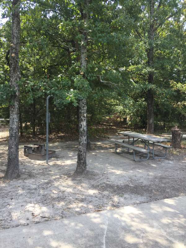 Accessible campsite #38 with electricity and water in the White Deer Reach Camping Loop. 