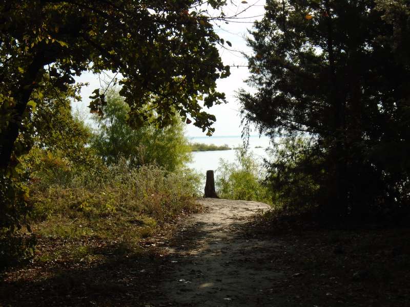 View of the lake from campsite #56 in the Spring Point Camping Loop. 