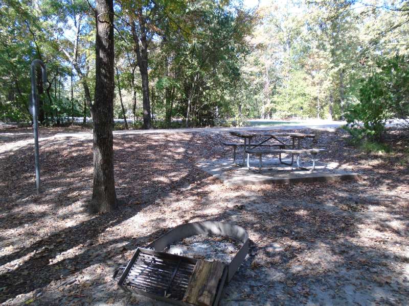 Campsite #3 with electricity and water in the White Deer Reach Camping Loop. 