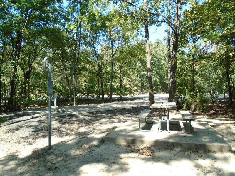 Campsite #8 with electricity and water in the White Deer Reach Camping Loop. 