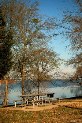 View of picnic table beside the lake