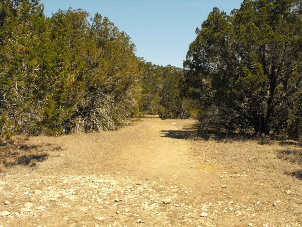 Another view of Primitive Camping Area A. 