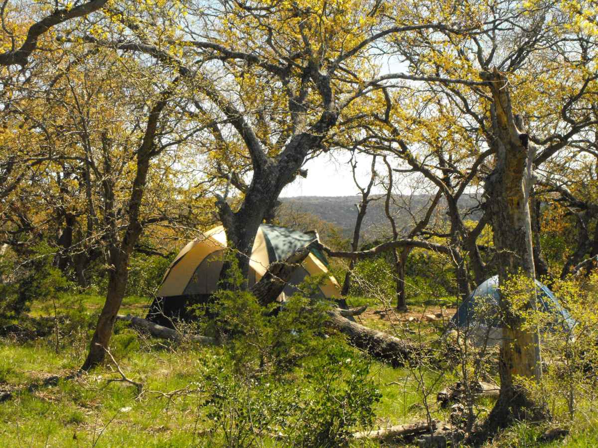 Another view of Primitive Camping Area B with tents. 