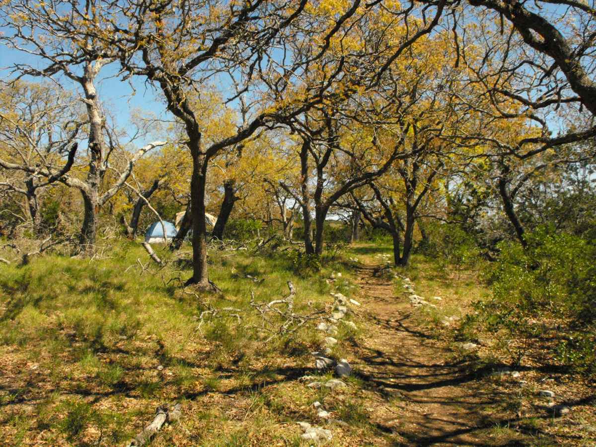 Another view of Primitive Camping Area B with tents in the background. 