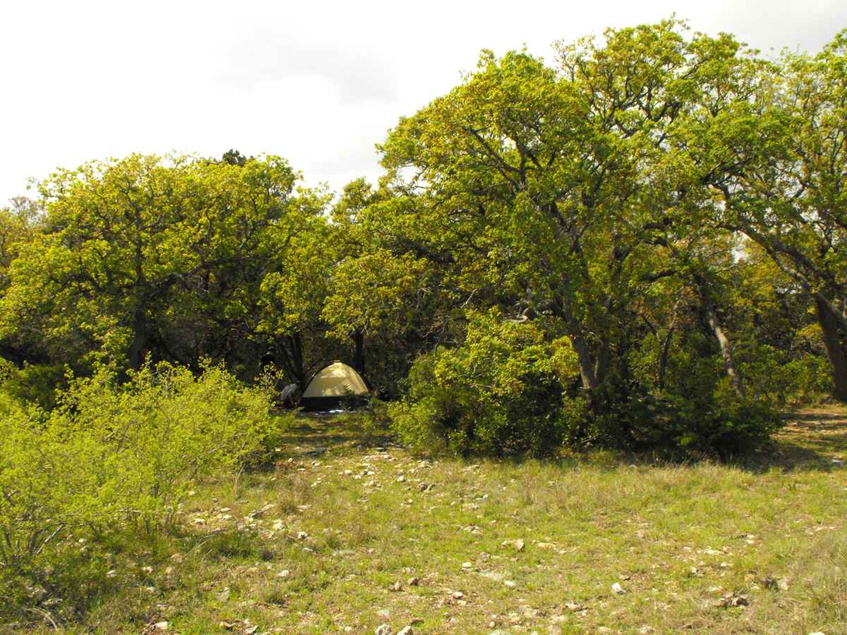 Another view of Primitive Camping Area D with a tent in the background. 