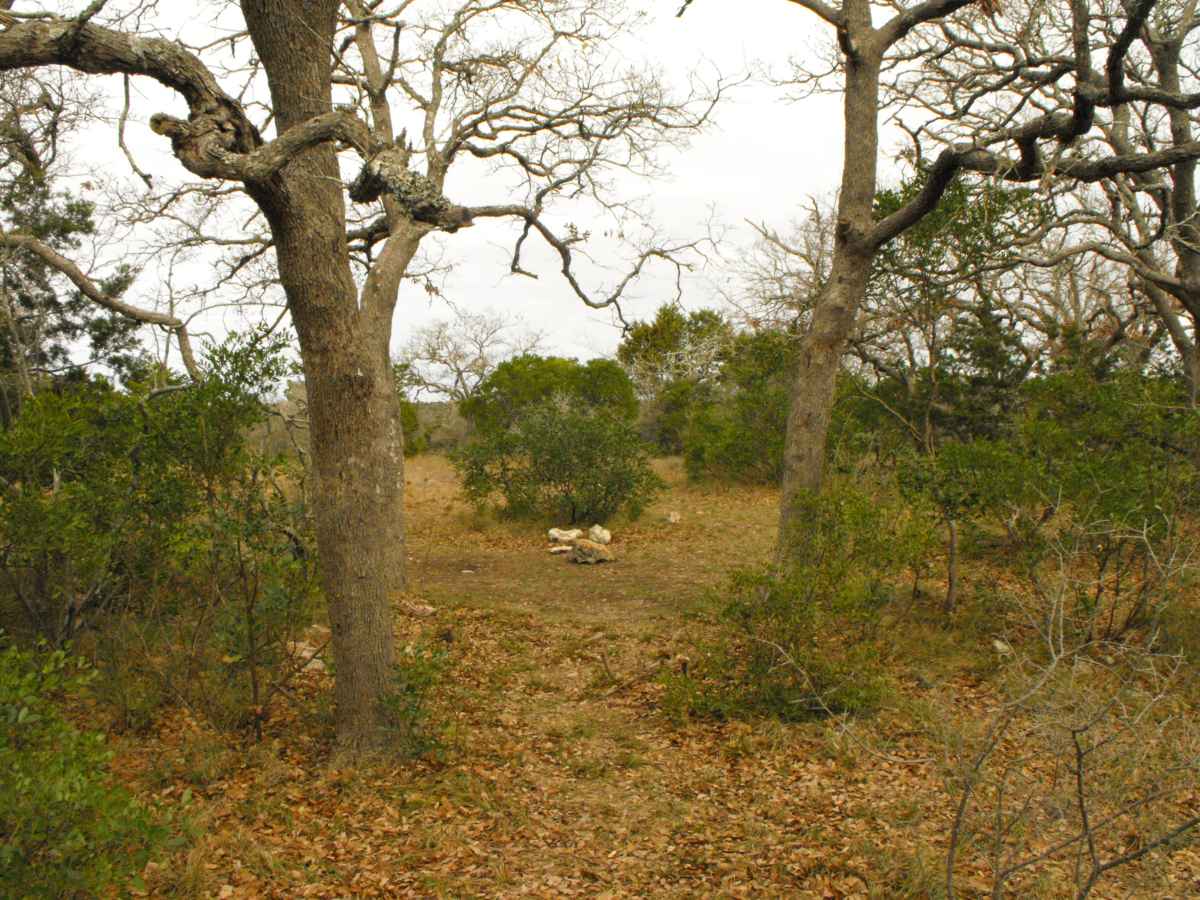 Another view of Primitive Camping Area F. 