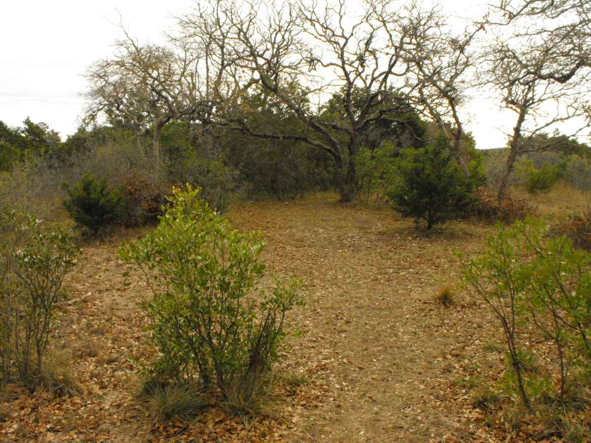 Another view of Primitive Camping Area F.