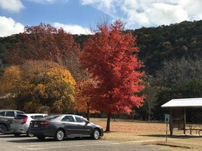 Accessible campsite