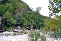 fall foliage picture from October 10, 2011