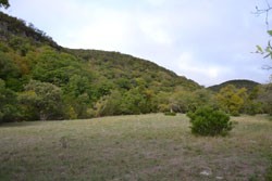 Fall Foliage 2 on 10/10/2011 