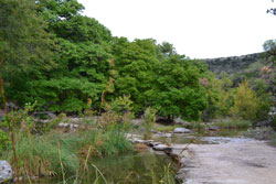 fall foliage picture from October 10, 2011